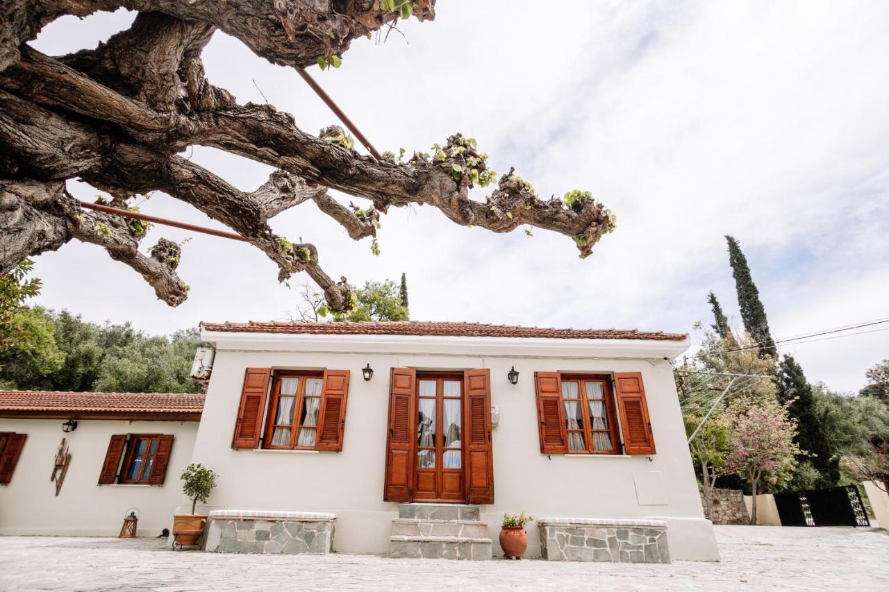 Kymanemi Zakynthos Cottage House Ano Yerakarion Exterior foto